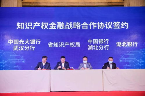 2022年首場湖北省專利技術供需對接會在漢成功舉辦 技術推廣服務再升級